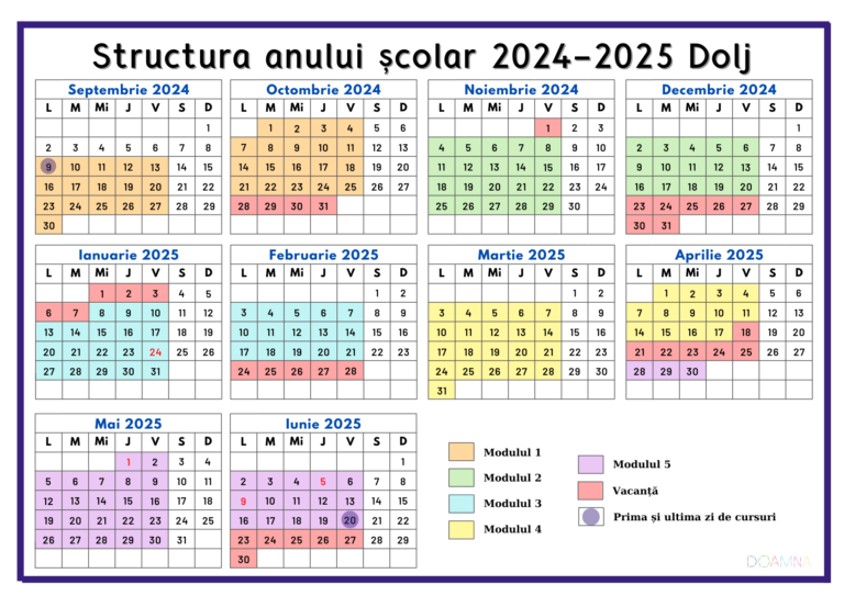 Structura anului școlar 20242025 Dolj